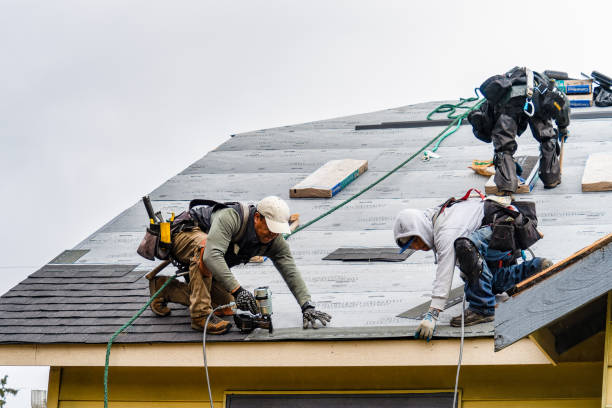 Professional Roofing technician working in Alma, MO